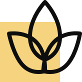 Stile di vita di lusso